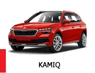 KAMIQ